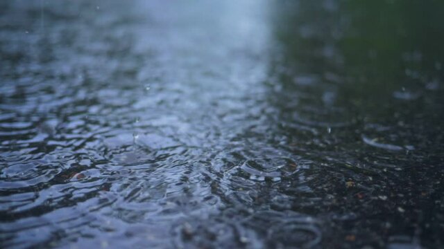 Weather nature rain water drops puddle street wet season