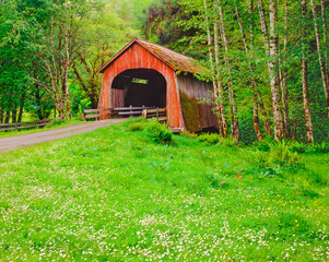 Rustic covered bridge guards a remote road in Yachats, Oregon