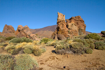 Fototapeta na wymiar View of the volcanic mountains of Tenerife.