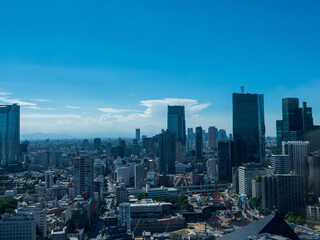 Fototapeta na wymiar Aerial view of Tokyo city