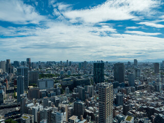 Naklejka na ściany i meble Tokyo city skyline