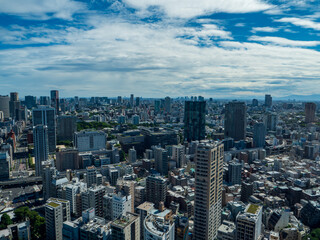 Aerial view of Tokyo city