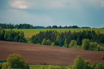 Fototapeta premium landscape with trees