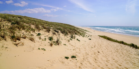 sand dunes access beach in Le porge jenny near Lacanau France