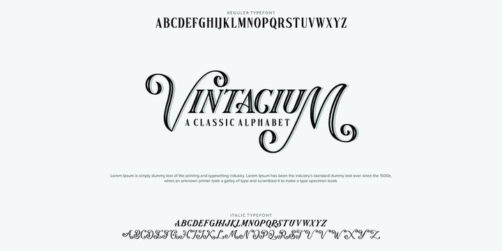 Custom font bundle script serif. aplhabet vector illustrations