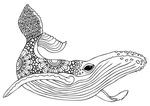 Whale. Hand drawn picture. Sketch for anti-stress adult coloring book in zen-tangle style. Vector illustration  for coloring page, isolated on white background.