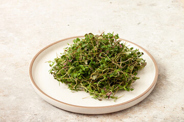 Young sprouts of thyme , micro greens on white background. Healthy eating concept