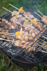 Grill skewers