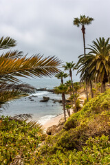Fototapeta na wymiar Steilküste mit Palmen