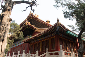 February 2019, Beijing, the Forbidden City. The largest palace in the world for nearly five centuries has served as a home for emperors and their families, as well as a ceremonial and political center