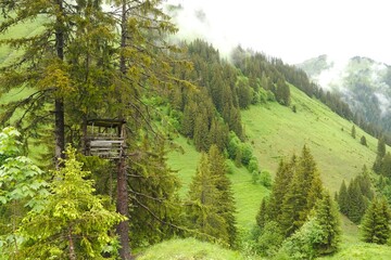 Obraz premium Hochstand in den Bergen
