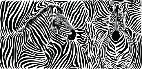 Zebra skin pattern with two heads