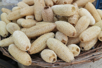 A luffa sponge whose coarse texture helps with skin polishing.  A lot of natural loofah - background.