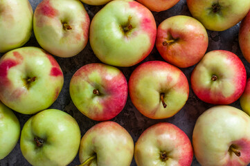 Tasty and healthy berry. Fruit season. Fruit season. Ripe apples lying on the table.
