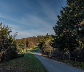Fototapeta na wymiar Road between Pustevny and Radhost hill in spring color morning