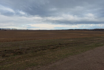 Fototapeta na wymiar Gloomy steppe landscape. Beautiful cloudy sky over the field.