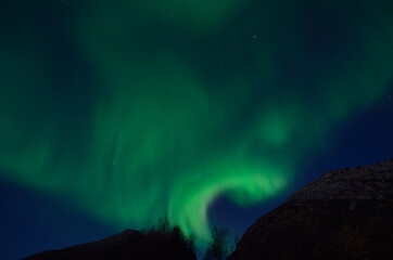 Fototapeta na wymiar massive aurora borealis dancing on night sky over mountain in northern Norway