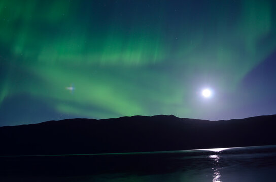 majestic aurora borealis dancing beside full moon over mountain and calm fjord © Arcticphotoworks