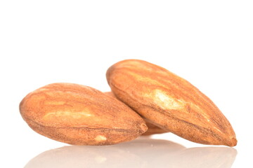 Roasted flavored almonds, close-up, on a white background.