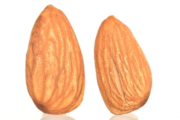 Roasted flavored almonds, close-up, on a white background.