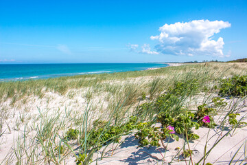 Baltic resort (Ostseebad) Dierhagen in the state of Mecklenburg Western Pomerania (Mecklenburg...