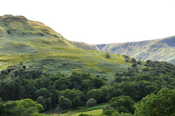Fototapeta premium Mountain Landscape with Trees Scotland