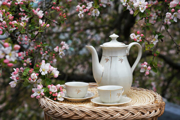 tea in the apples flowers  garden
