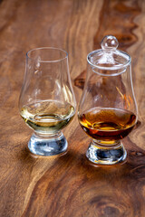Scotch single malt and blended whisky tasting on distillery in Scotland