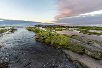 The beauty of the beaches of northern Spain with the moss on its rocks!