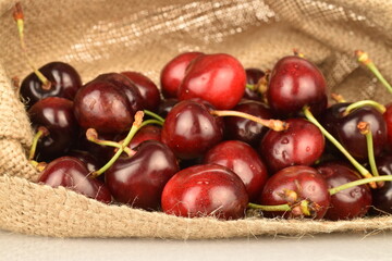 Ripe juicy organic sweet cherry, close-up, in a jute bag.
