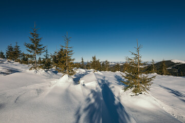A man riding skis down a snow covered slope