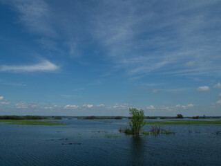 River spills in the spring. view from the high bank