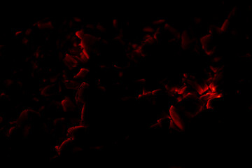 Red coal on a black background. Abstract fire coal pattern.