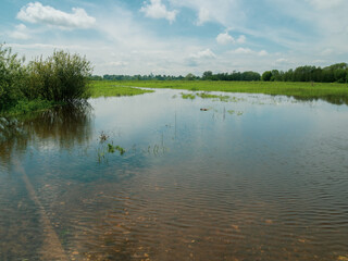 River spills in the spring. view from the high bank