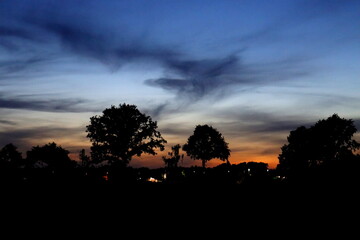 sunset in the forest