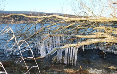 Lac de Joux gelé