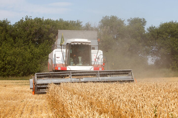 Combine harvester working in a very wide wheat field