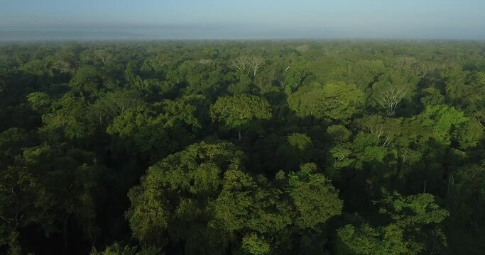aerial view lacandon rainforest chiapas mexico
