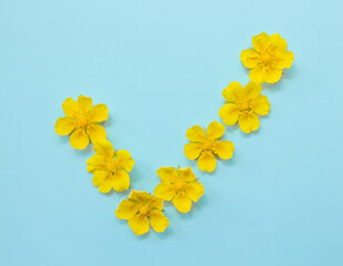  Checkmark symbol on a blue background from yellow bright spring flowers. Summer concept, minimal