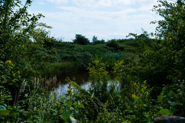 Two tree island, Essex.