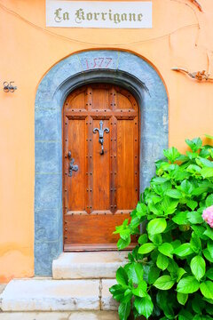 Bormes les Mimosas, France