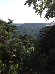 view from the top