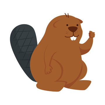 Cute beaver cartoon design, Animal zoo life nature and character theme Vector illustration