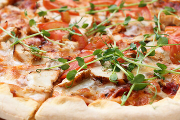 Closeup photography of fresh pizza, divided into slices. Decorated with micro green,tomatos,cheese and pieces of meat.Food background.