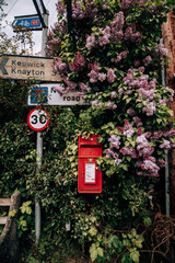 English red postbox and street signs covered by beautiful purple flowers and green leaves
