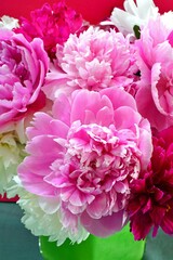 Bouquet of fragrant white and pink herbaceous peony flowers