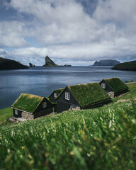 Black wooden houses with a green grass roof. Houses by the ocean overlooking the cliffs of the Faroe Islands. Beautiful summer landscape. Vertical photo.