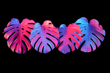 Tropical night party monstera background concept