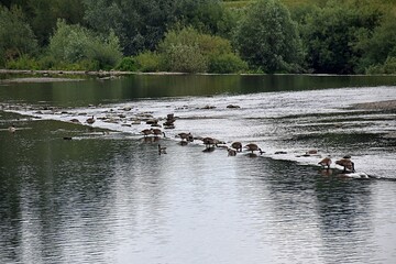 Widok na rzeke