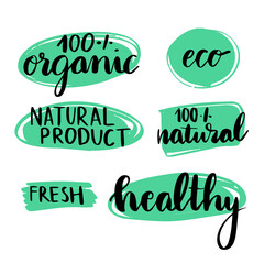 Vector set of hand made graphic elements. Natural product. Organic product. Eco. Vegan.
